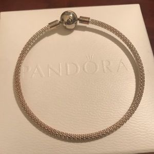 Pandora Moments Mesh Charm Bracelet